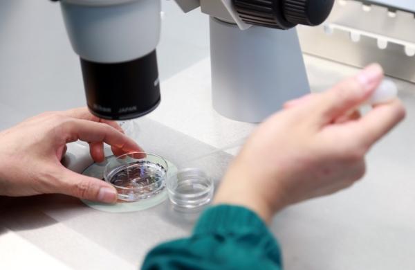 在泰国做试管婴儿有什么技术优势